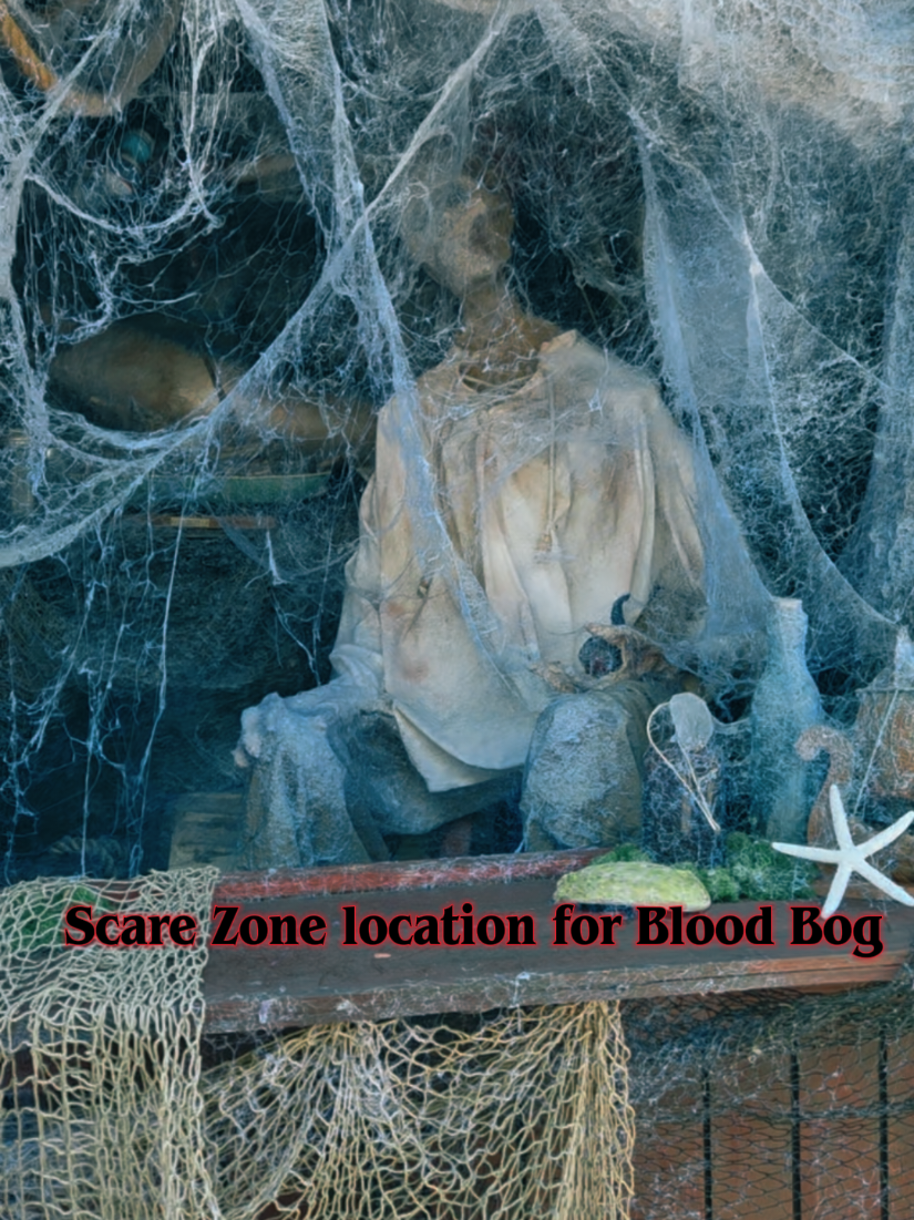 @🐦&zwj;⬛🕸𝒮𝒶𝓇𝒶🥀🥡