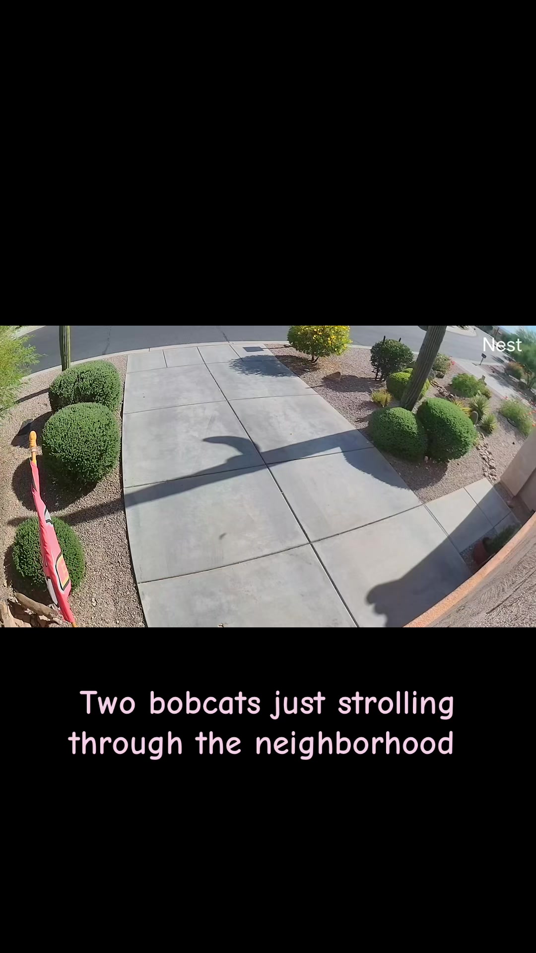@desertgirly14