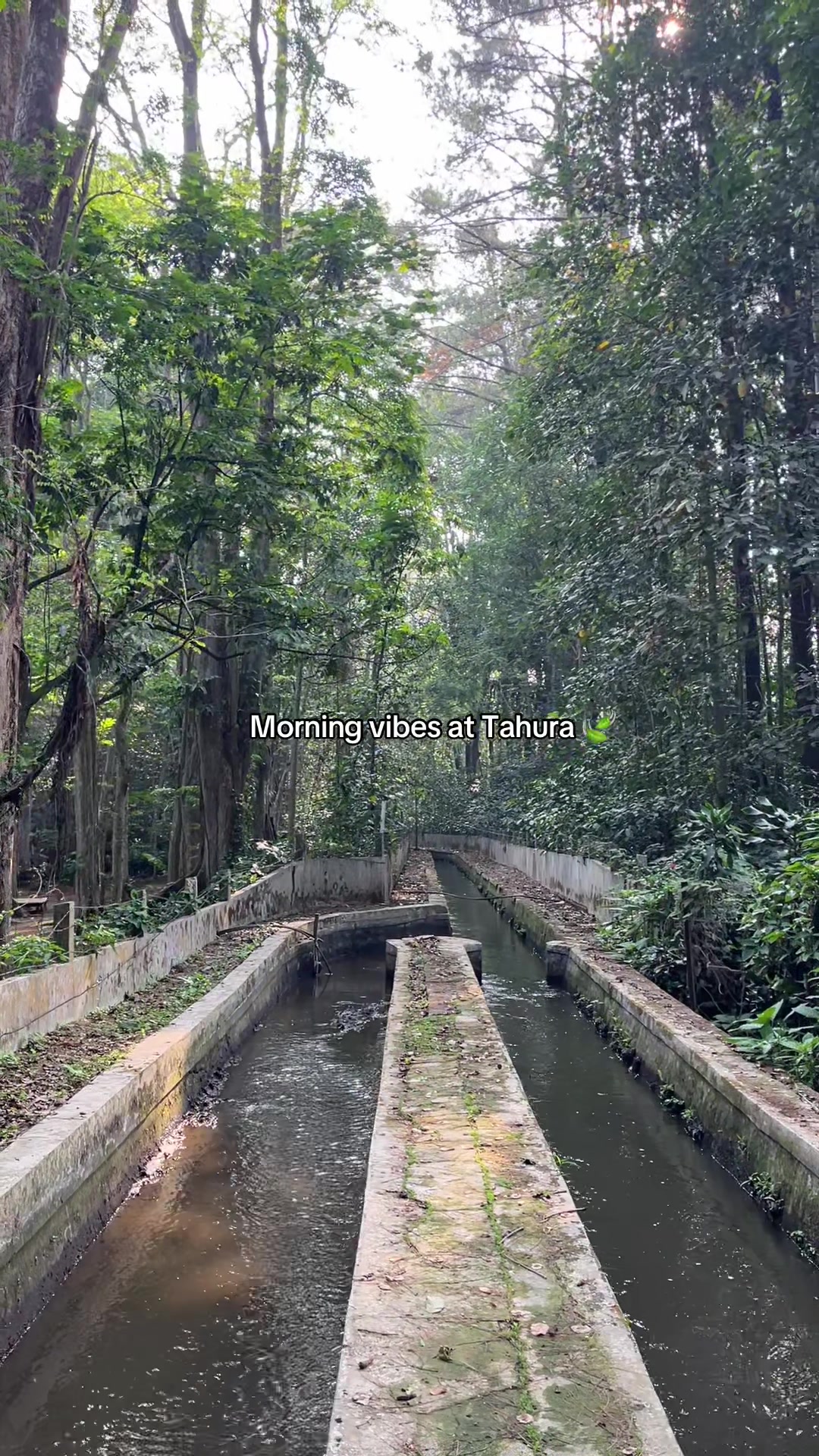 @Kang Wahyu