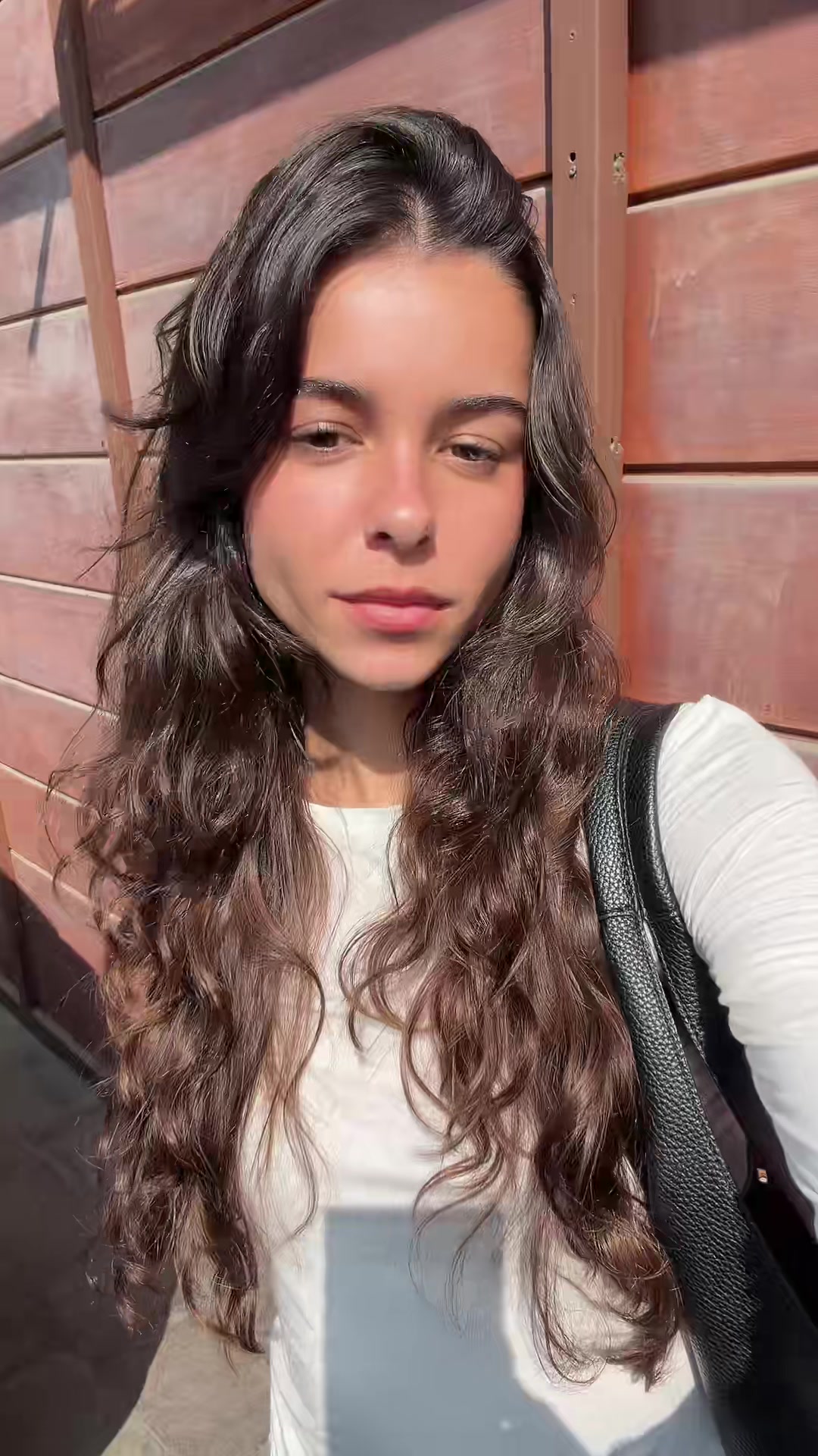 @andrea noriega