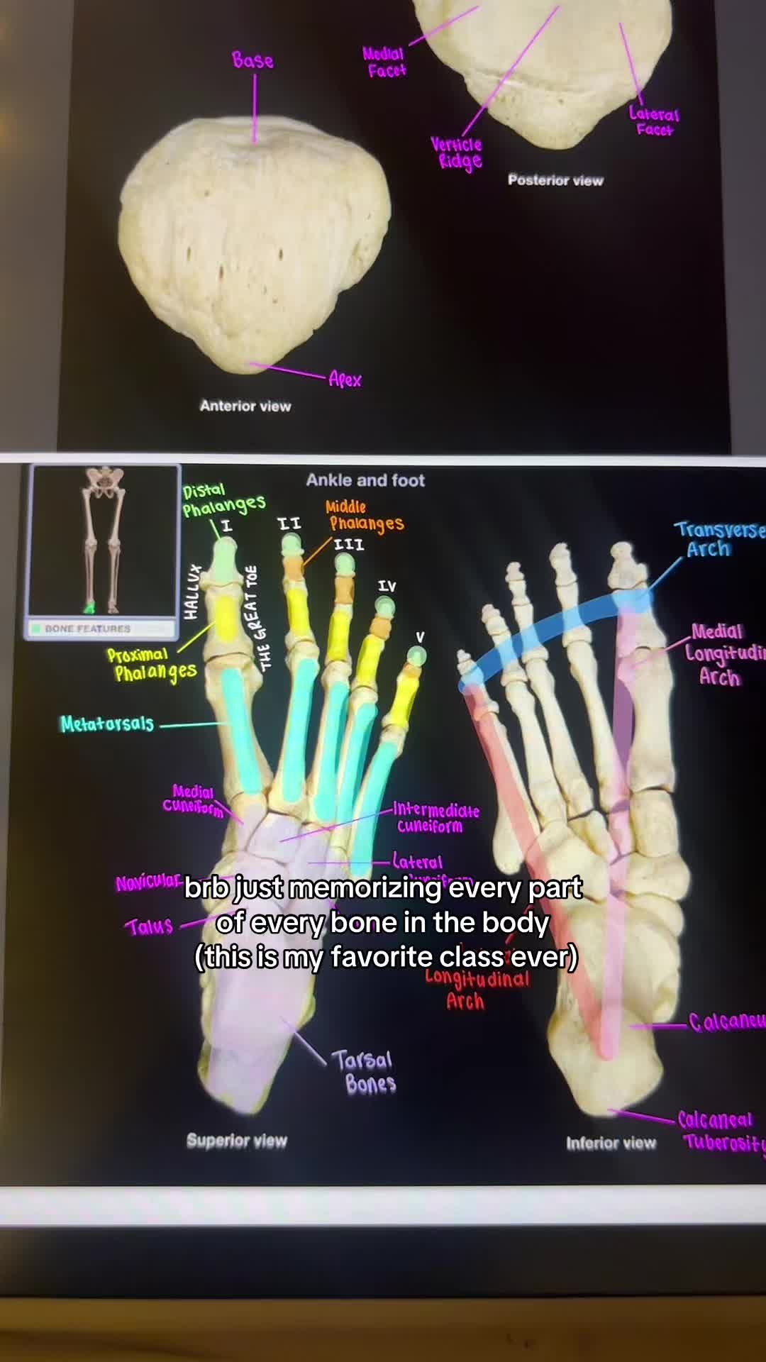 @morgan