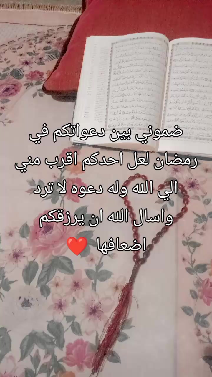 @Doaa Mohammed