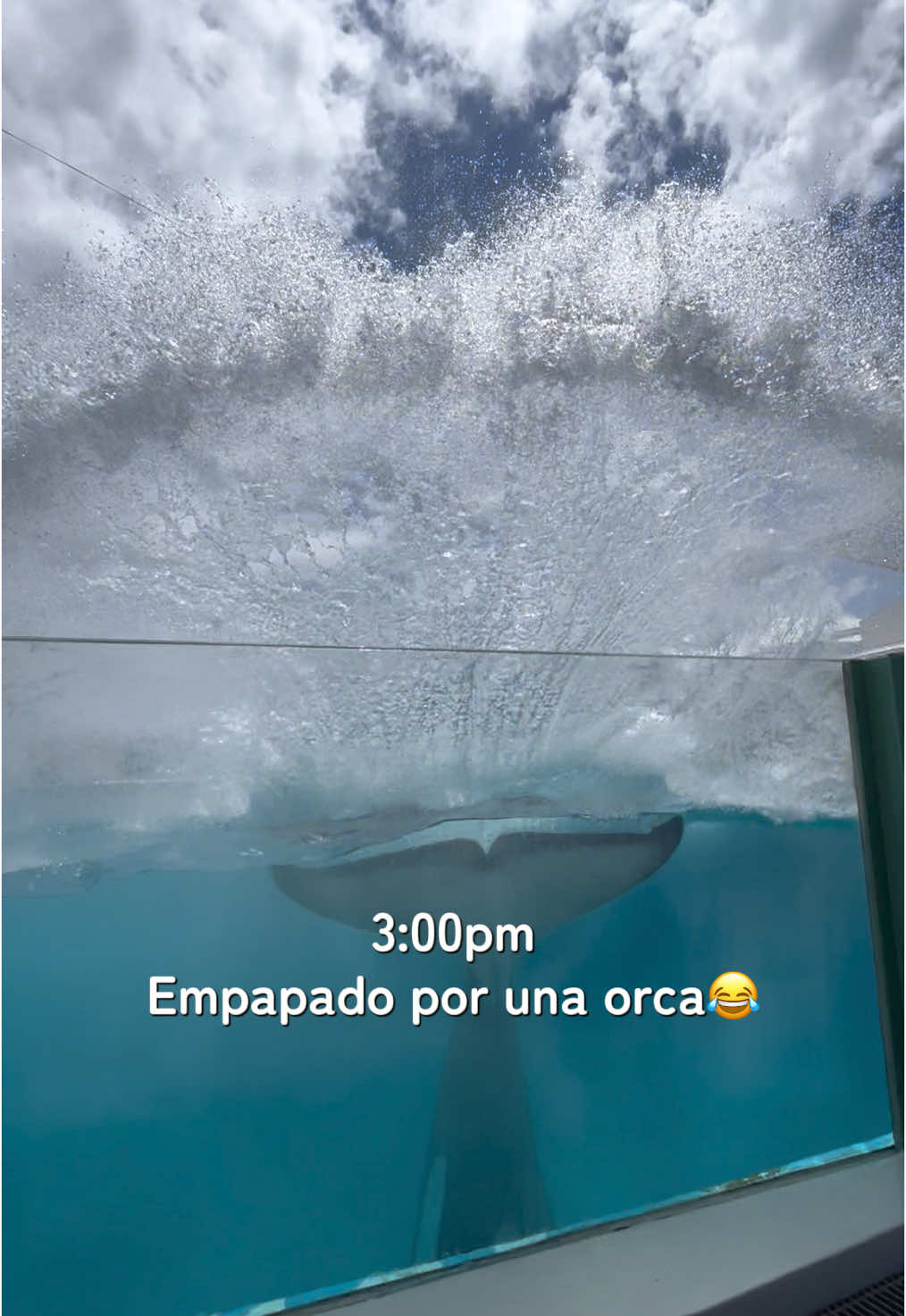 @asukadecimos