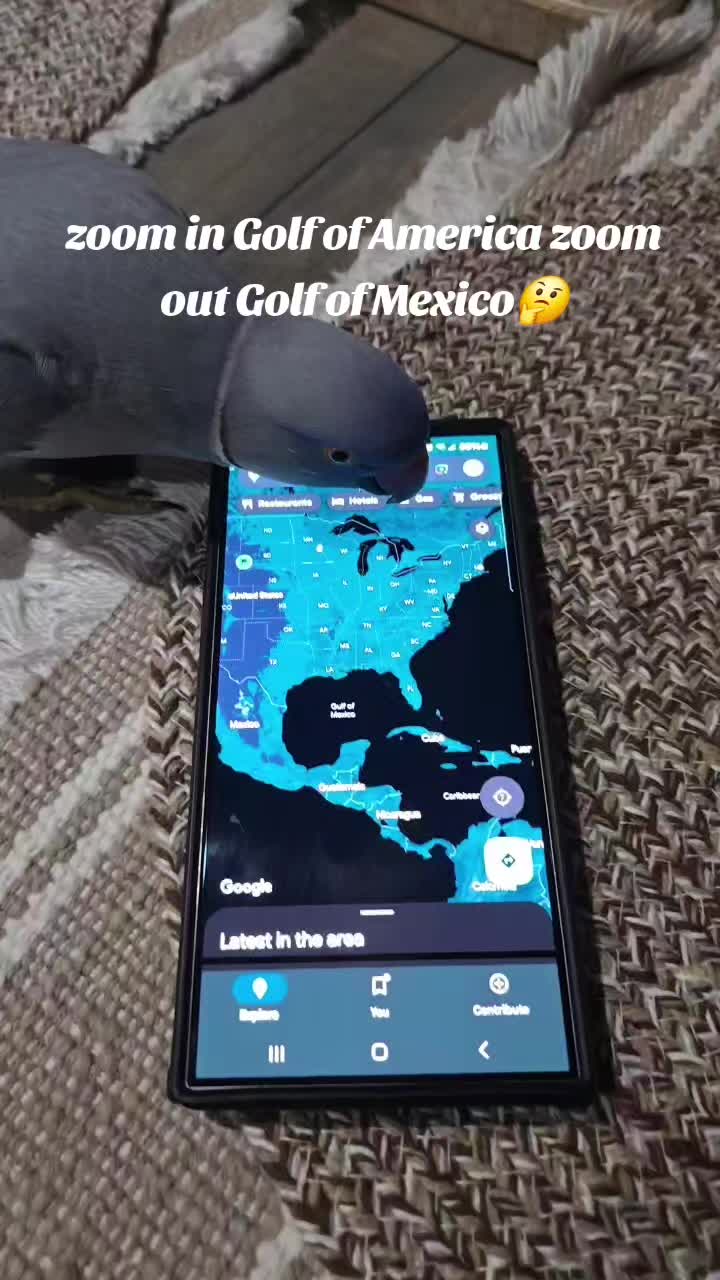 @lilotheparrot & Sky