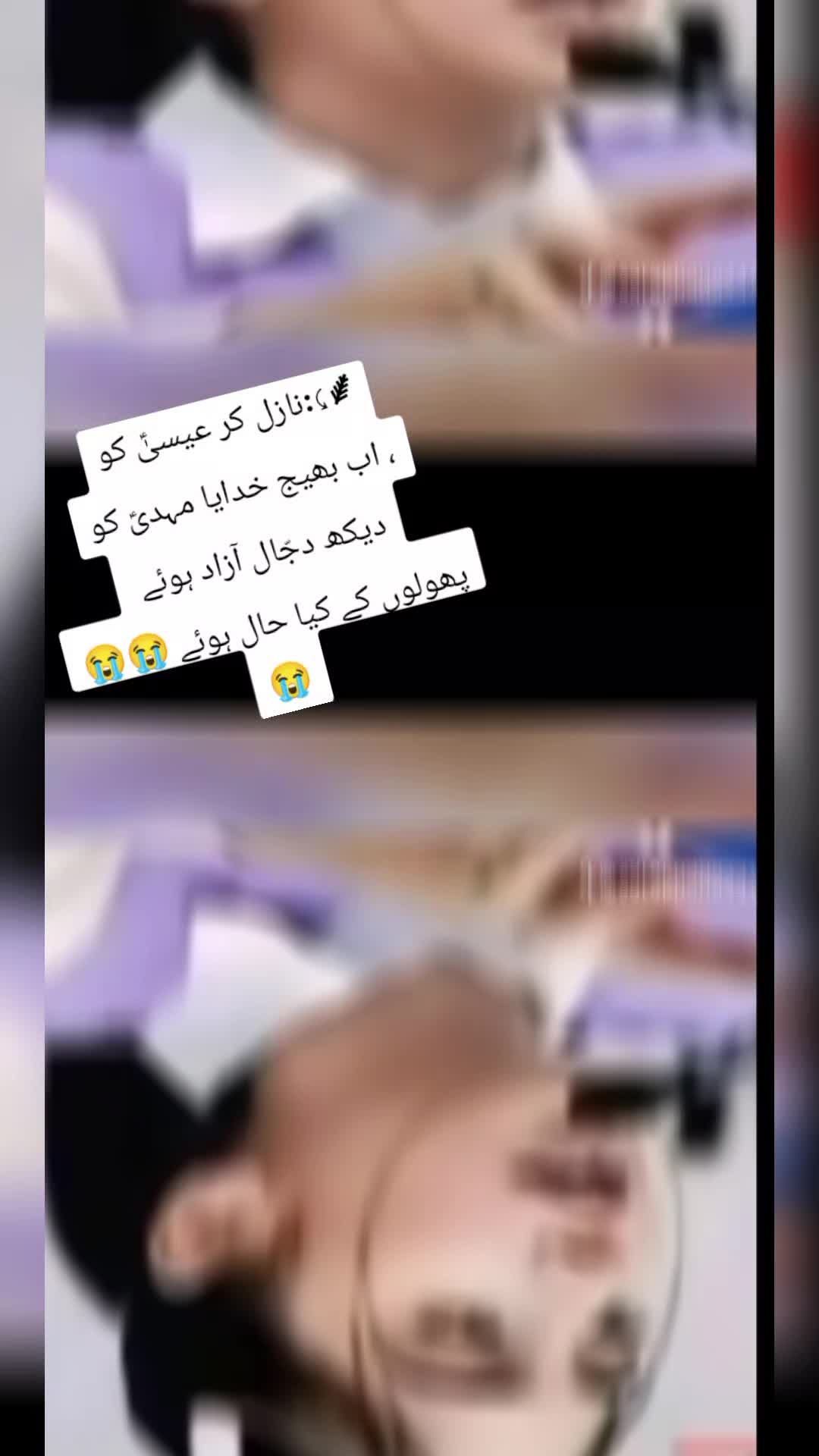 @Teacher ho1