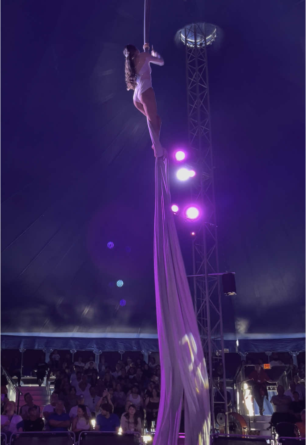 @circus.chloe