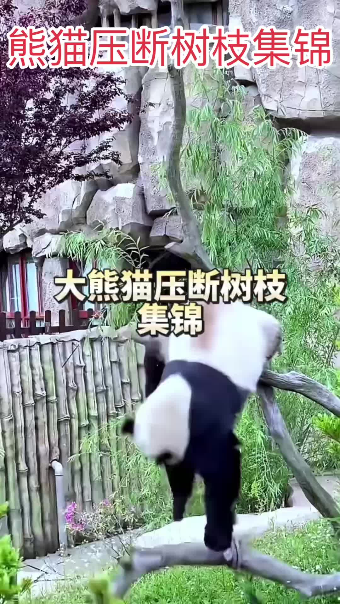 @一生等待