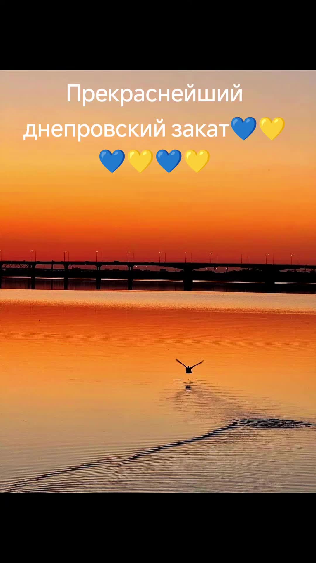 @tyt pro Dnipro❤️🔥