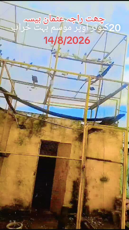 @Raja Usman Baisa
