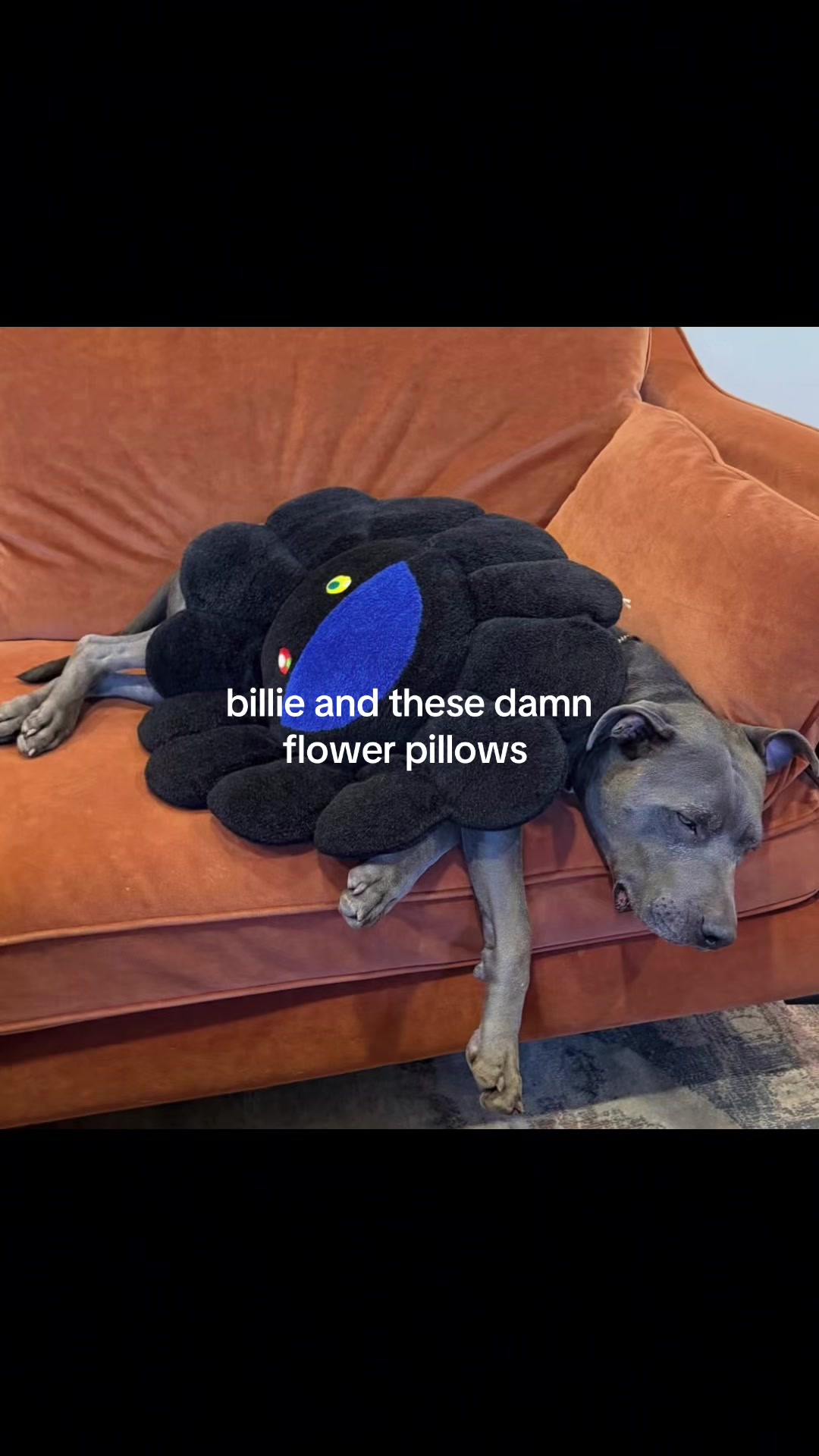 @bilzz.00