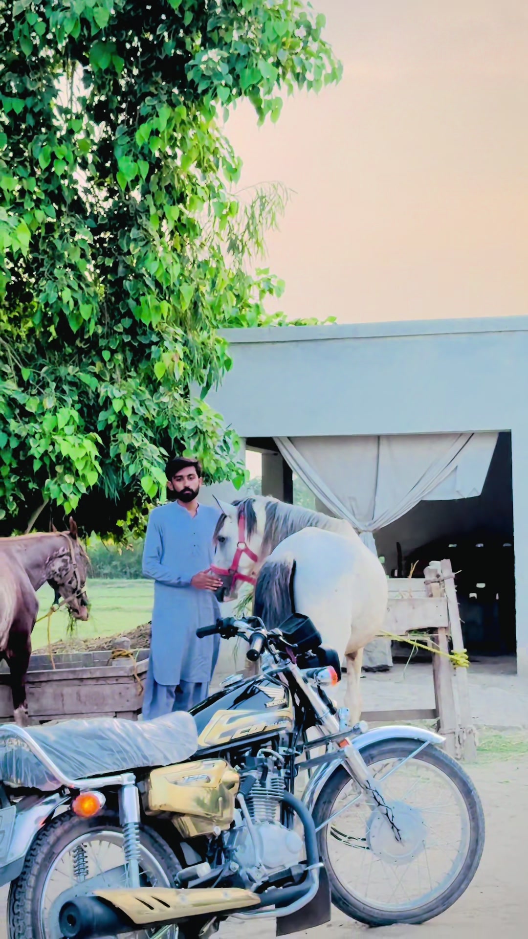 @Haji Qais Malik
