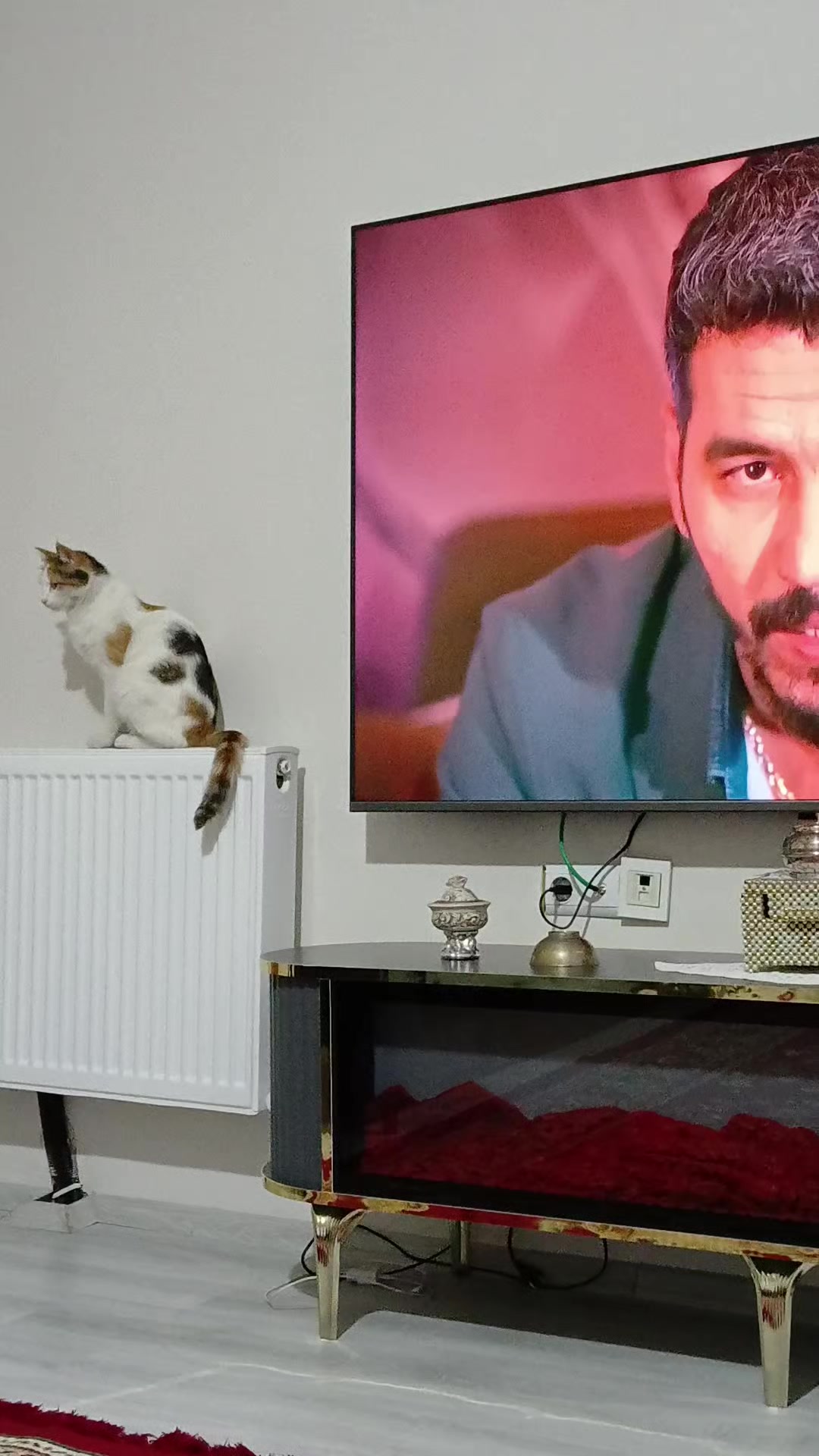 @feridekemer36.