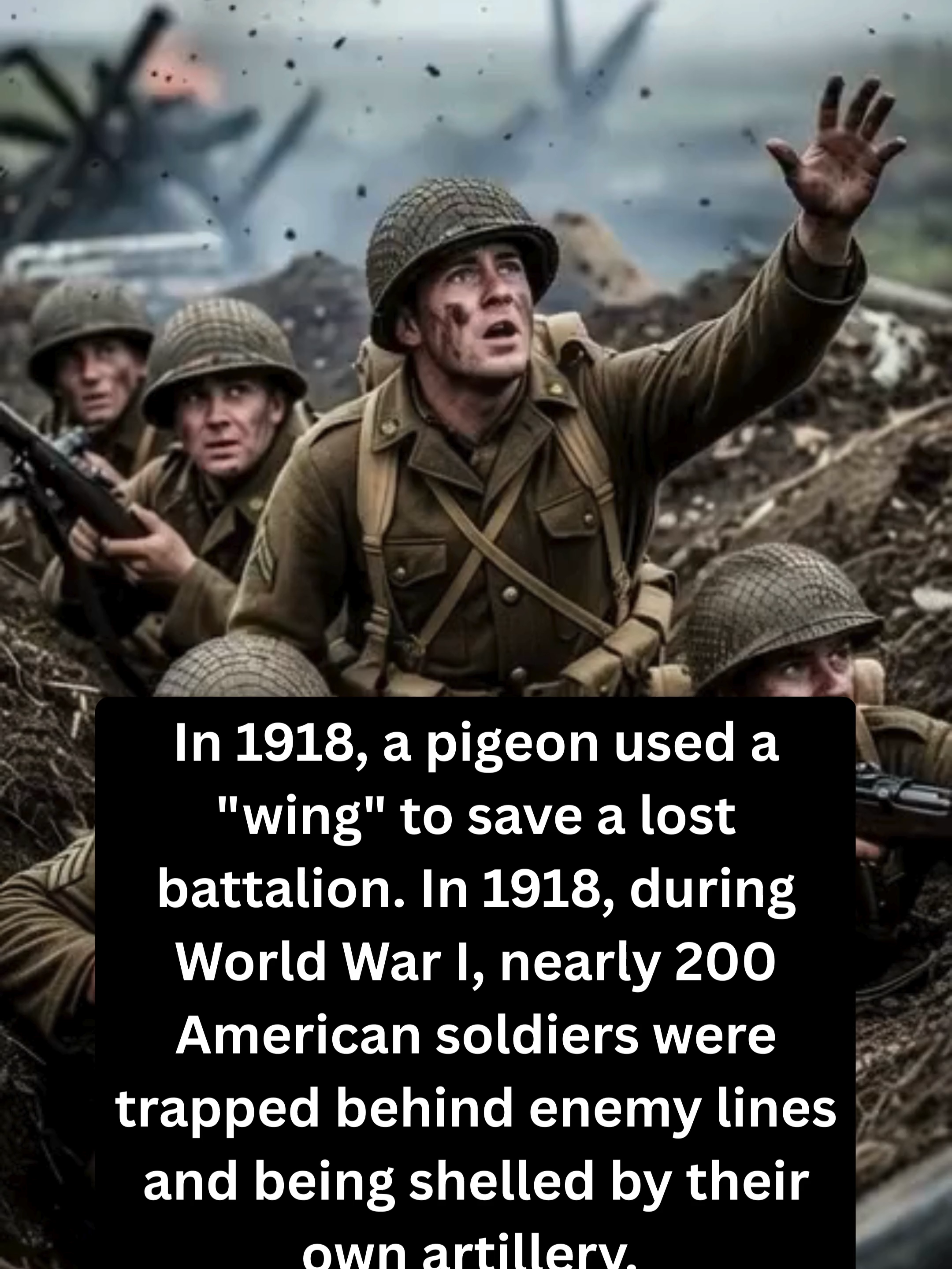 @Interesting Facts