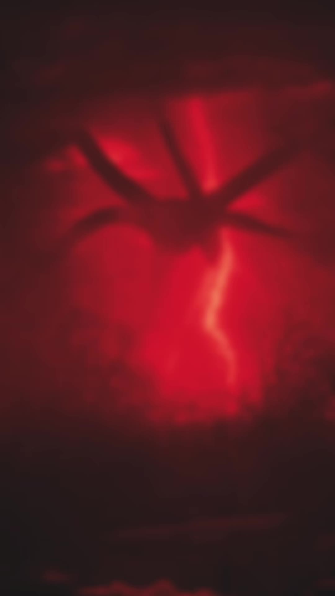 @𝕲𝖔𝖙𝖍𝕲𝖍𝖔𝖚𝖑🦇🖤