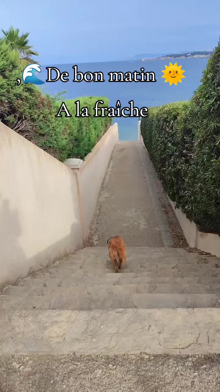 @👒Didounette 🦋