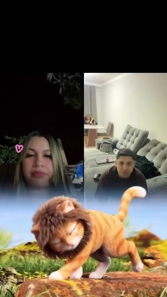 @sillvanagomes721