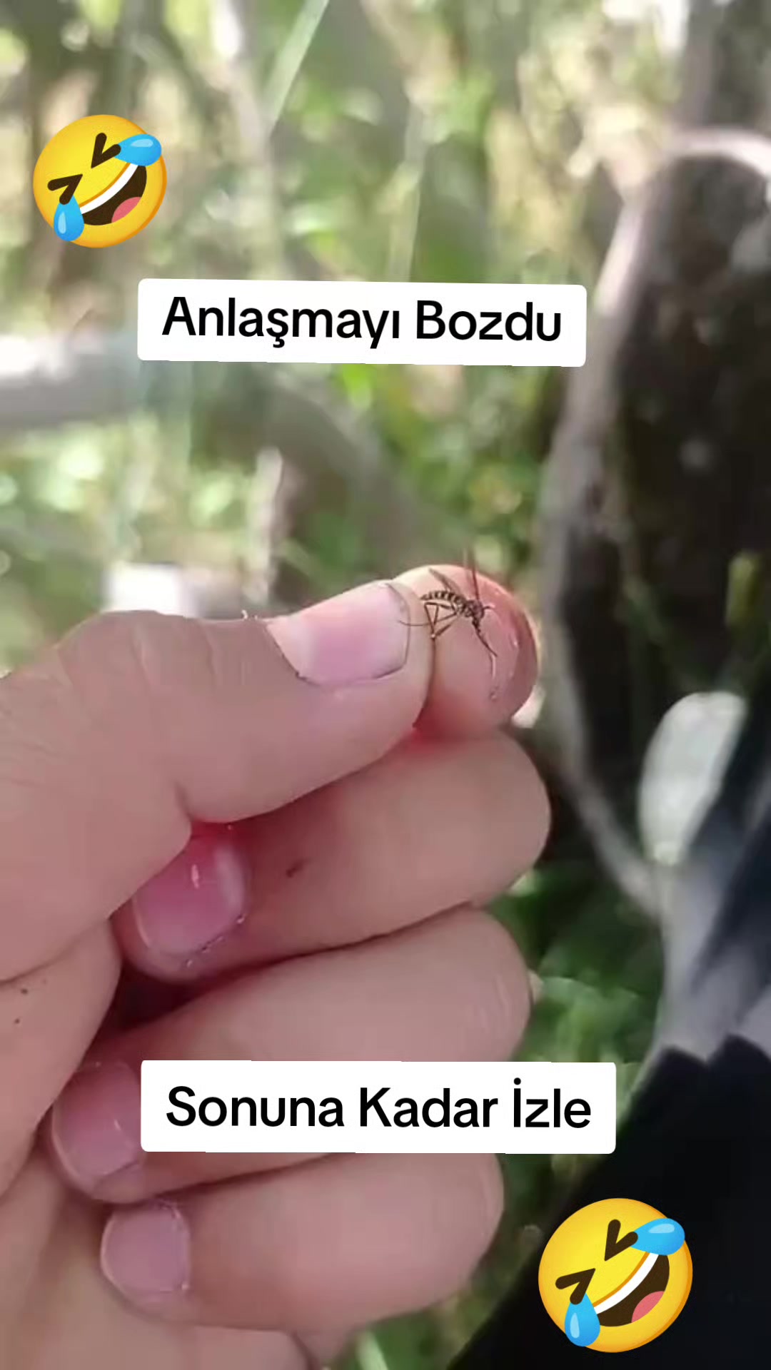 @Kömür Gözlüm
