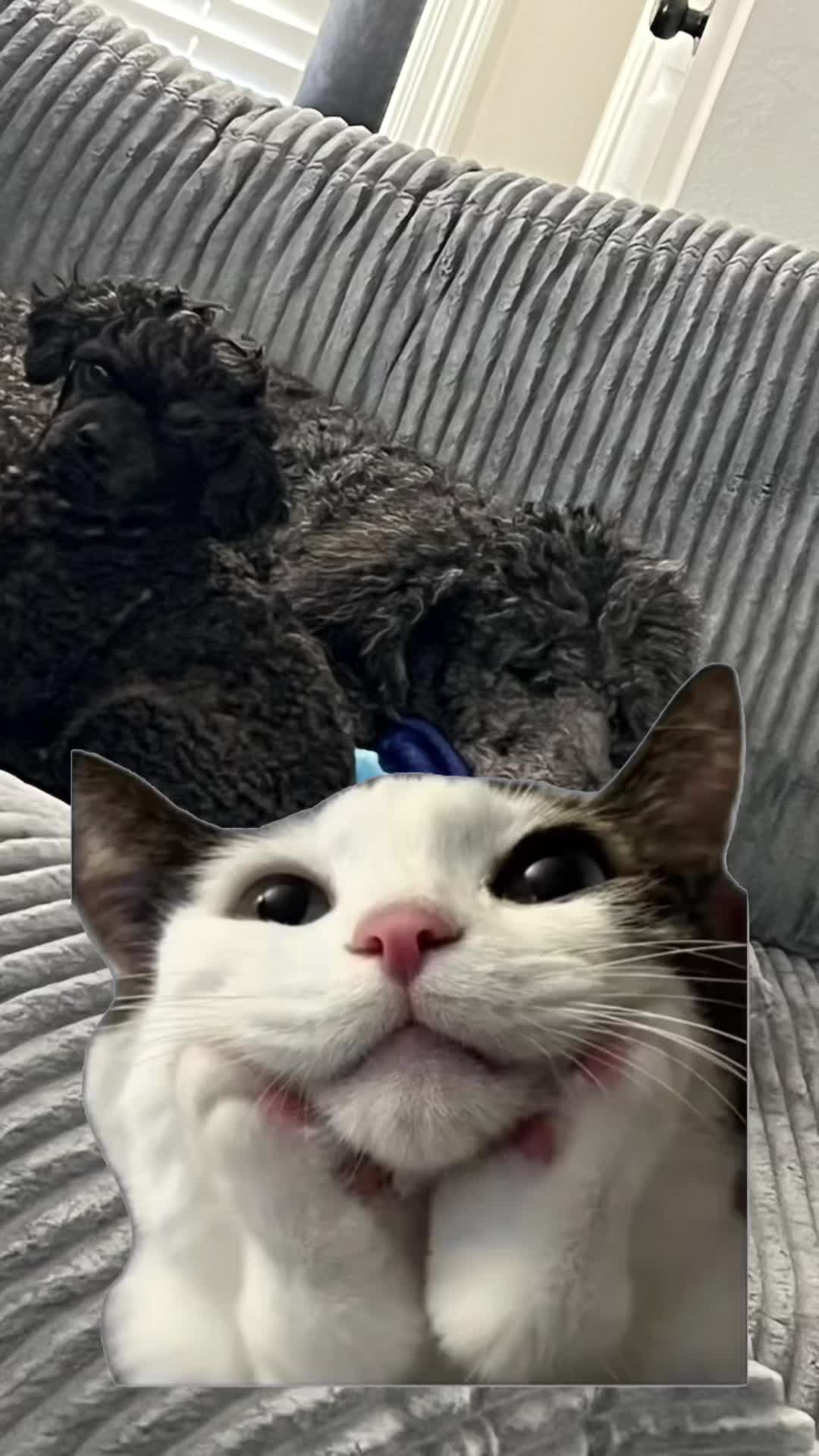@C h r i s t i n a