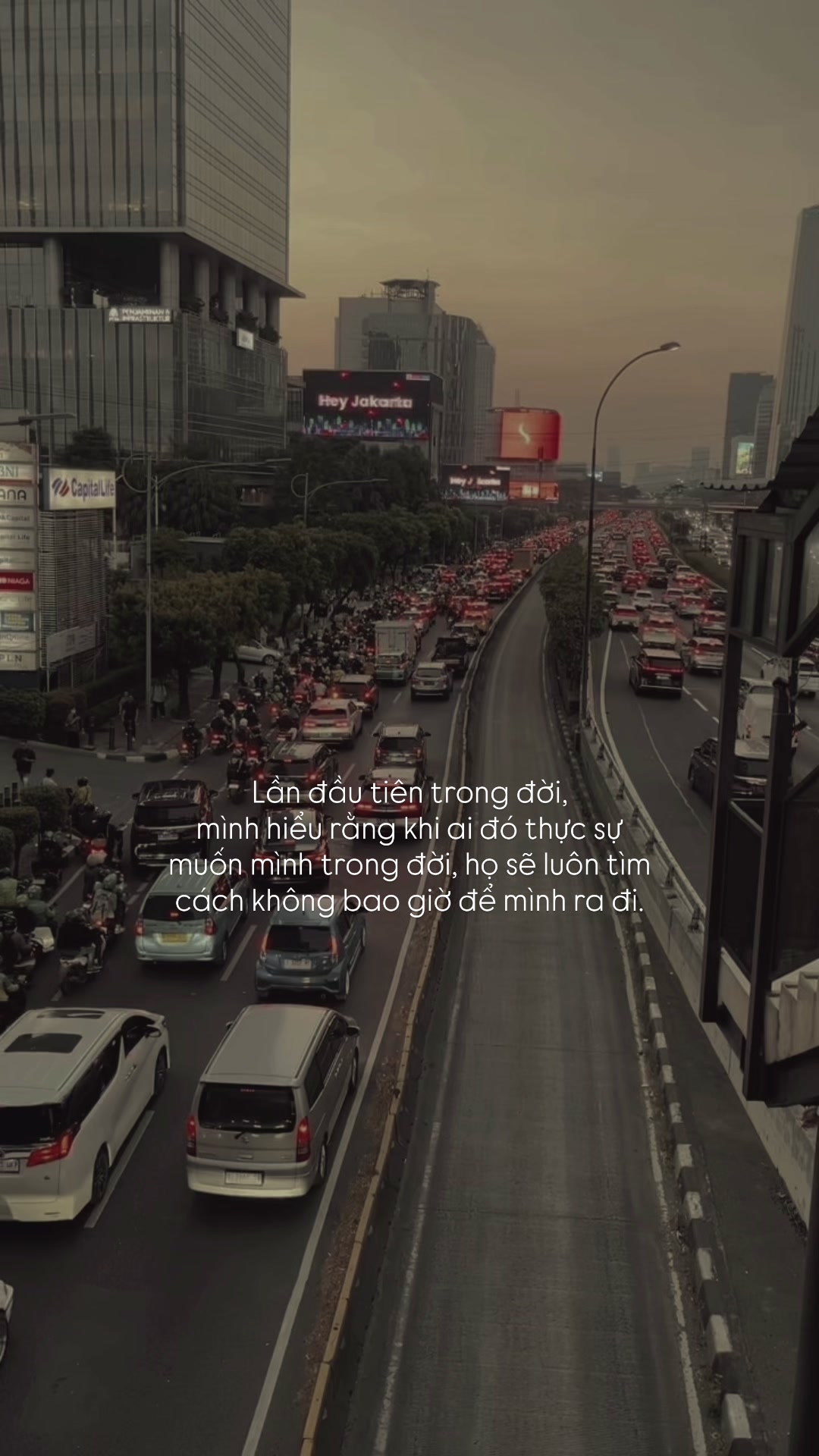 @Người Hiểu Chuyện