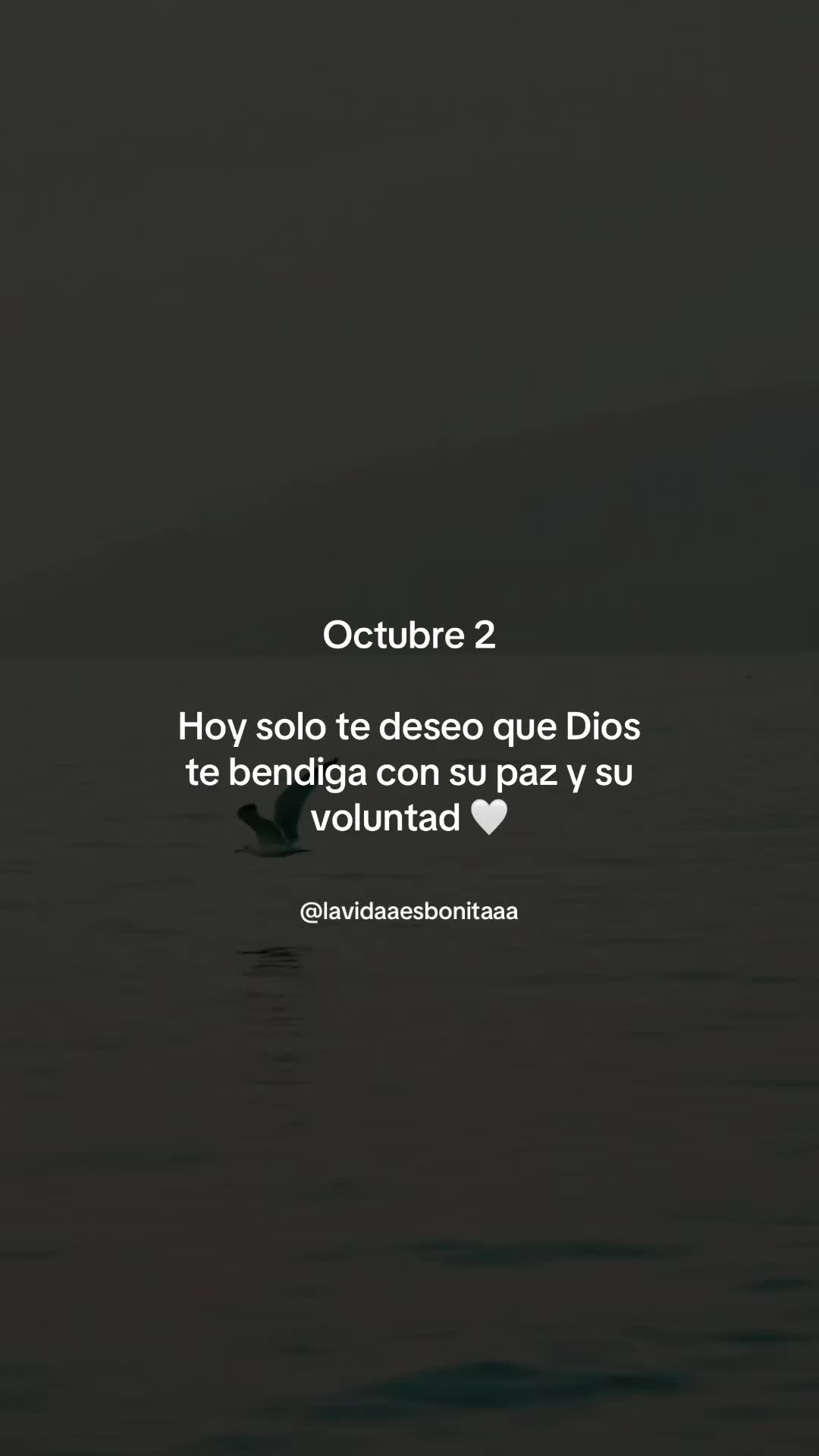 @vidabonita❤️&zwj;🩹