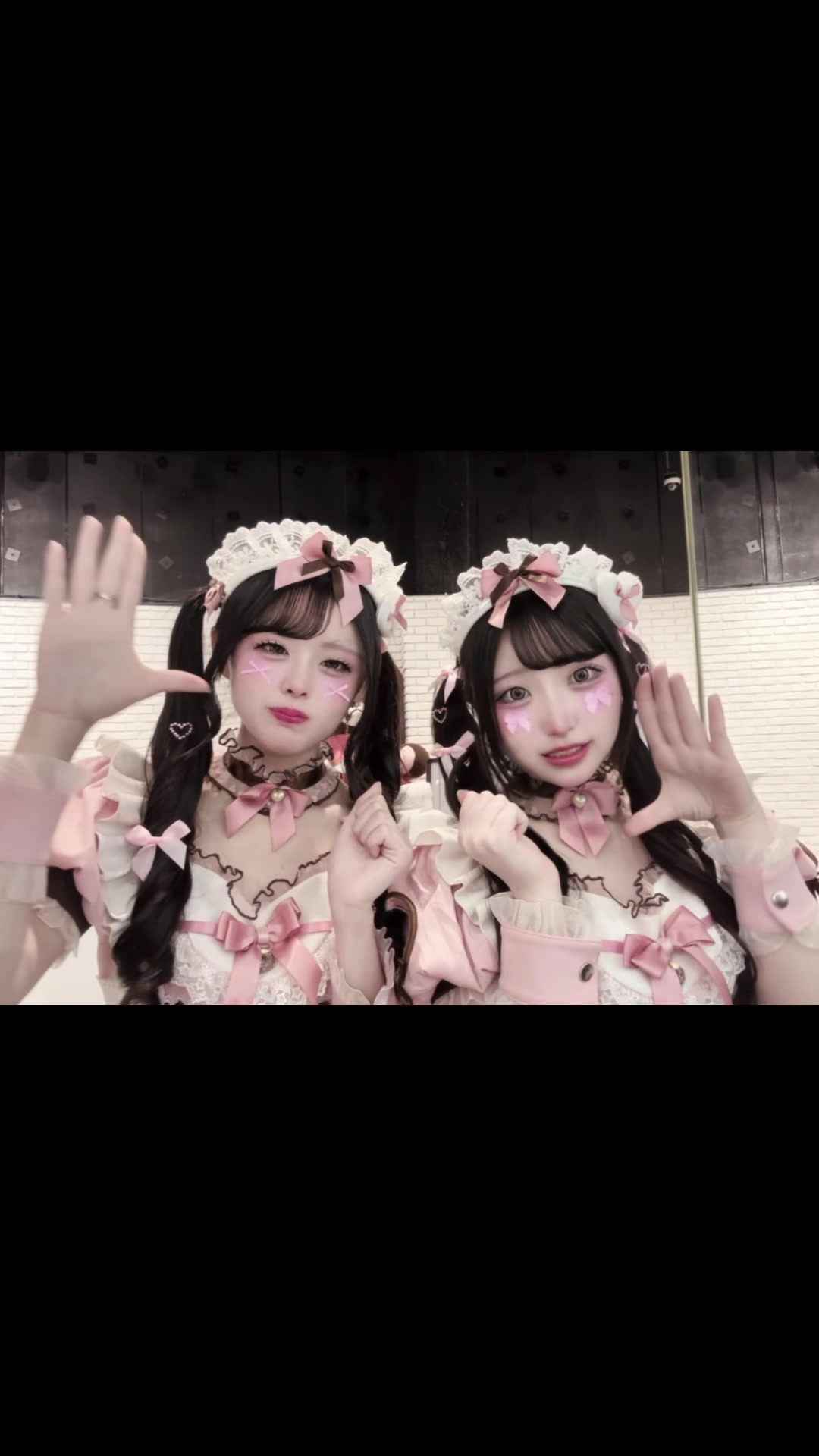 @猫