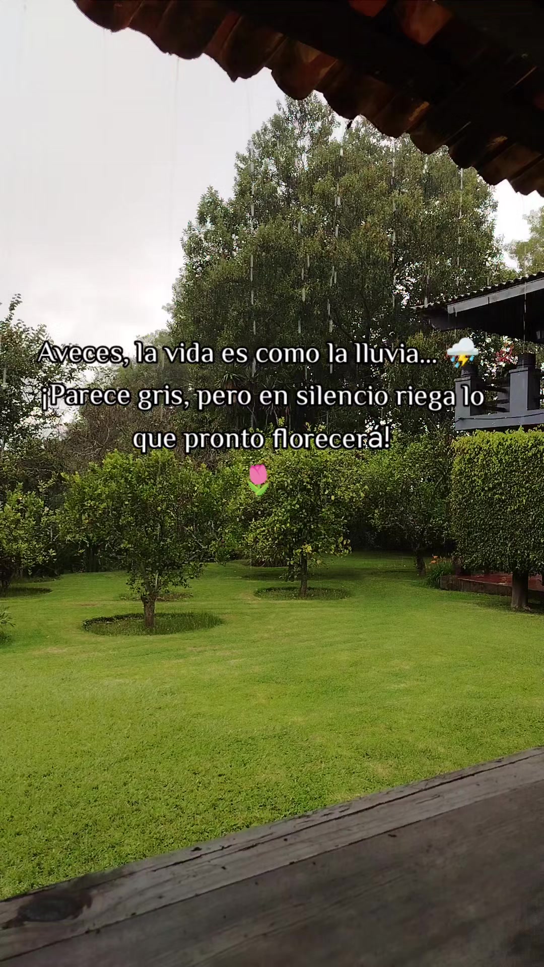 @Araceli S&aacute;nchez