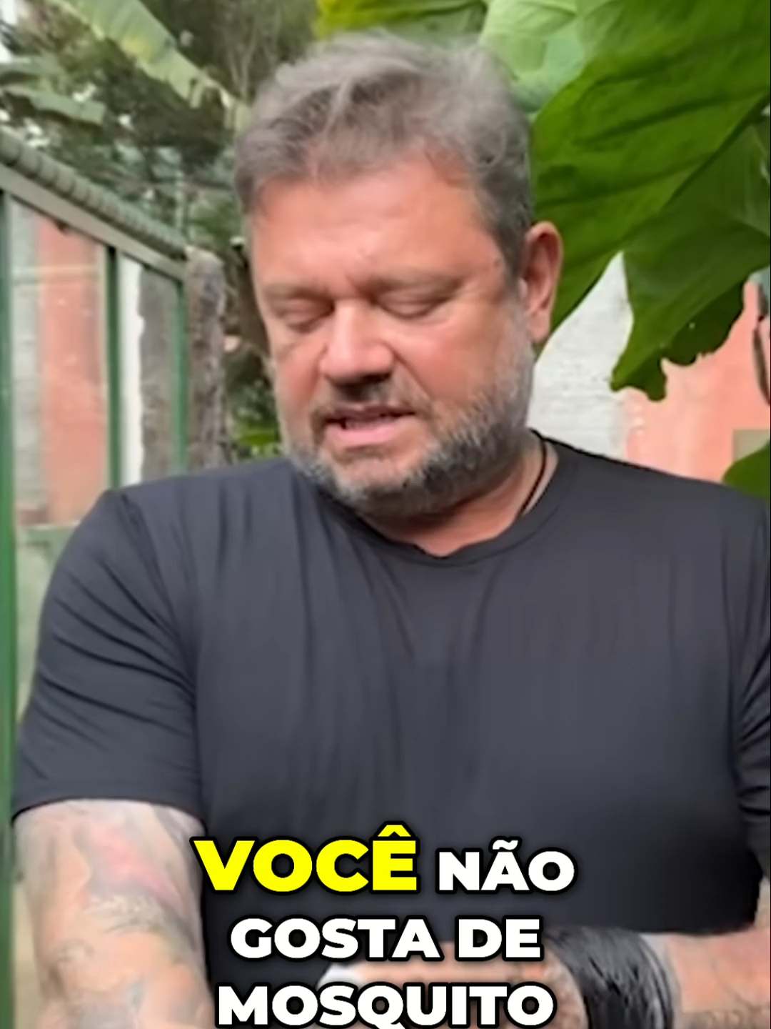 @TV Z7 BRASIL