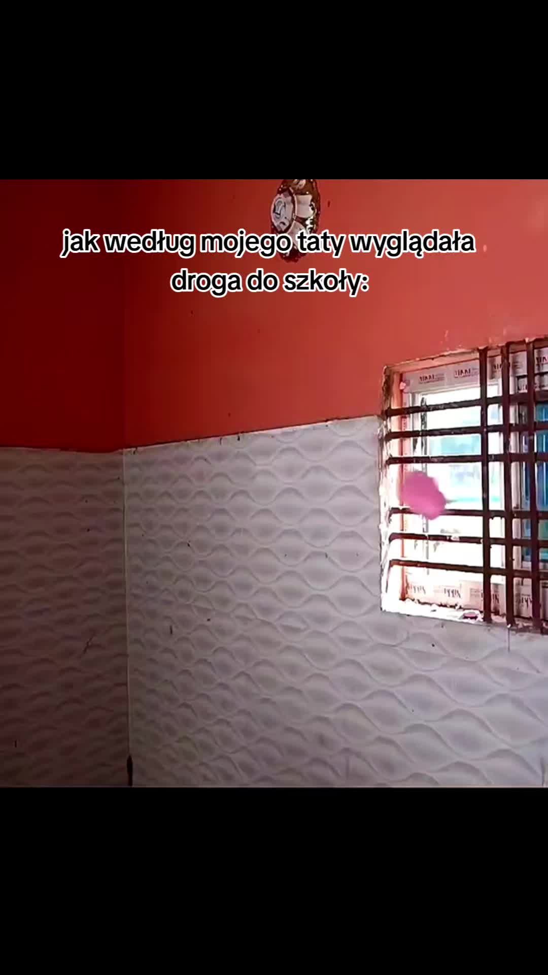 @🪽🌷