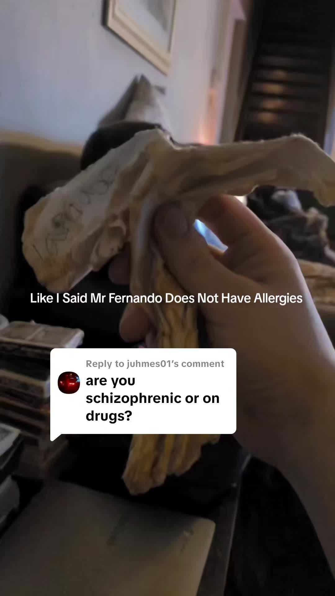 @Ferny As Jard Jechanic