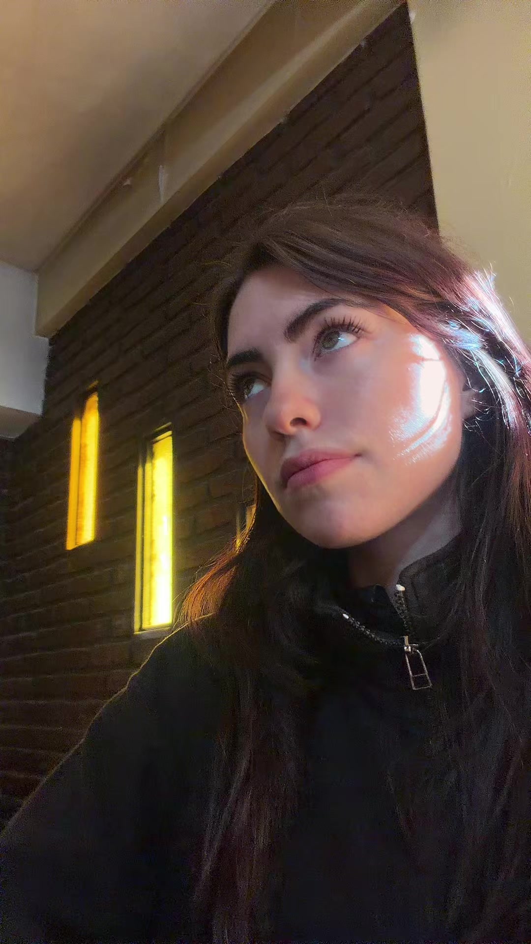 @alexafalessi