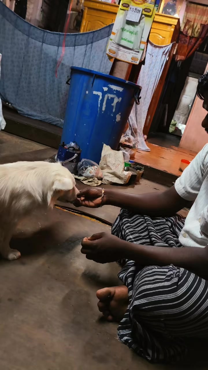 @Siva Yadav2981