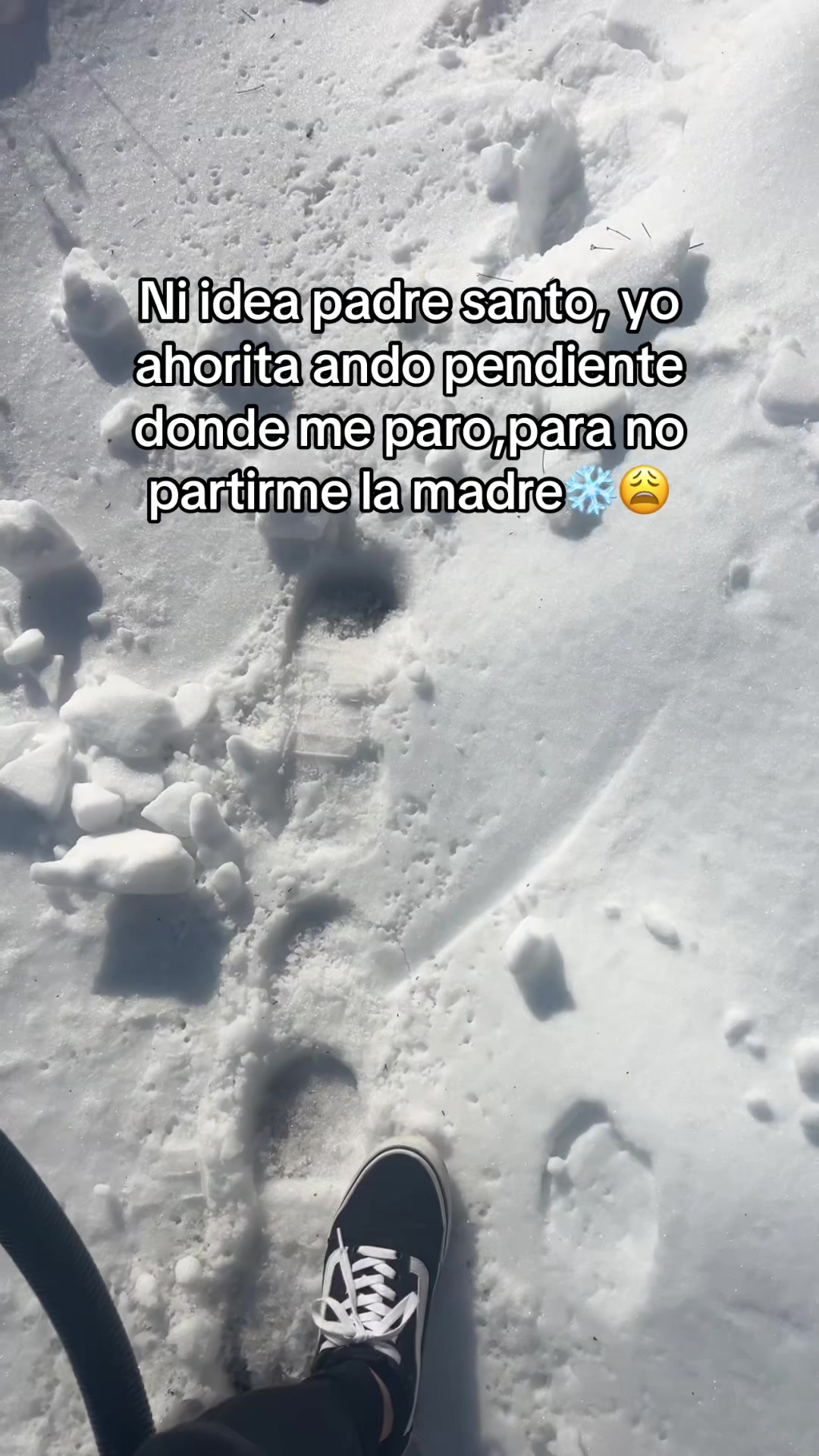 @sindyflores730