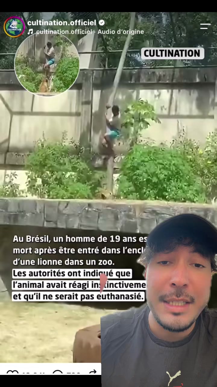 @Karim wildhunt