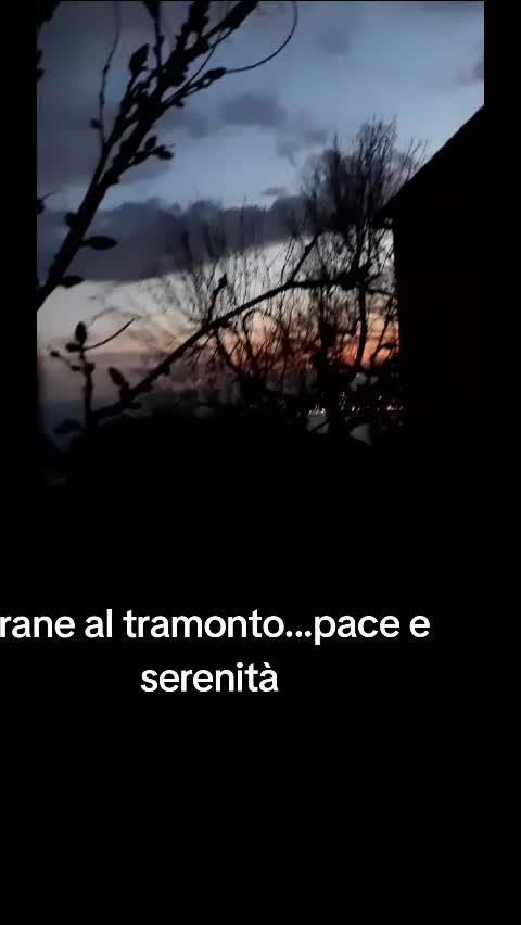 @Angelo