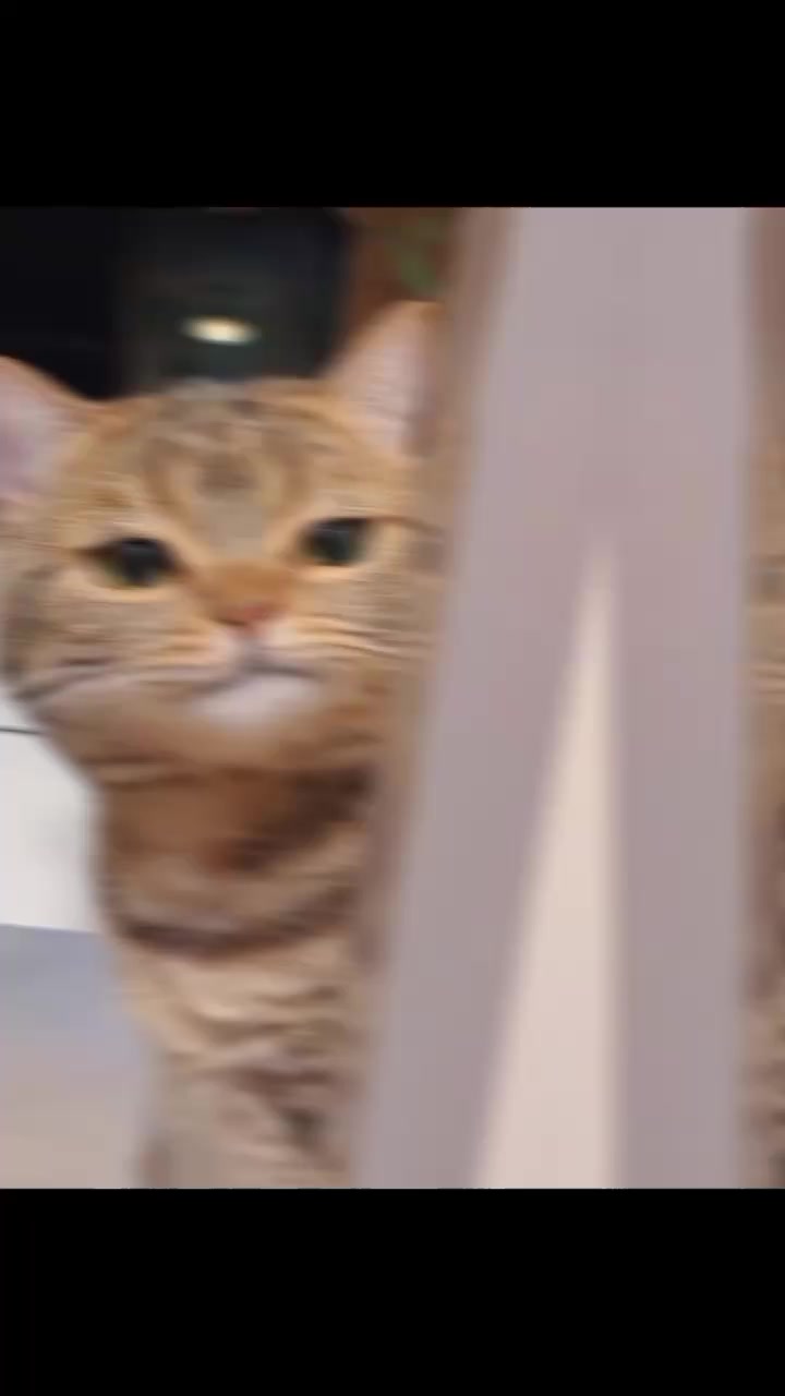 @ᯓ𝐄𝐫𝐚 𝐌𝐢𝐮ᥫ᭡