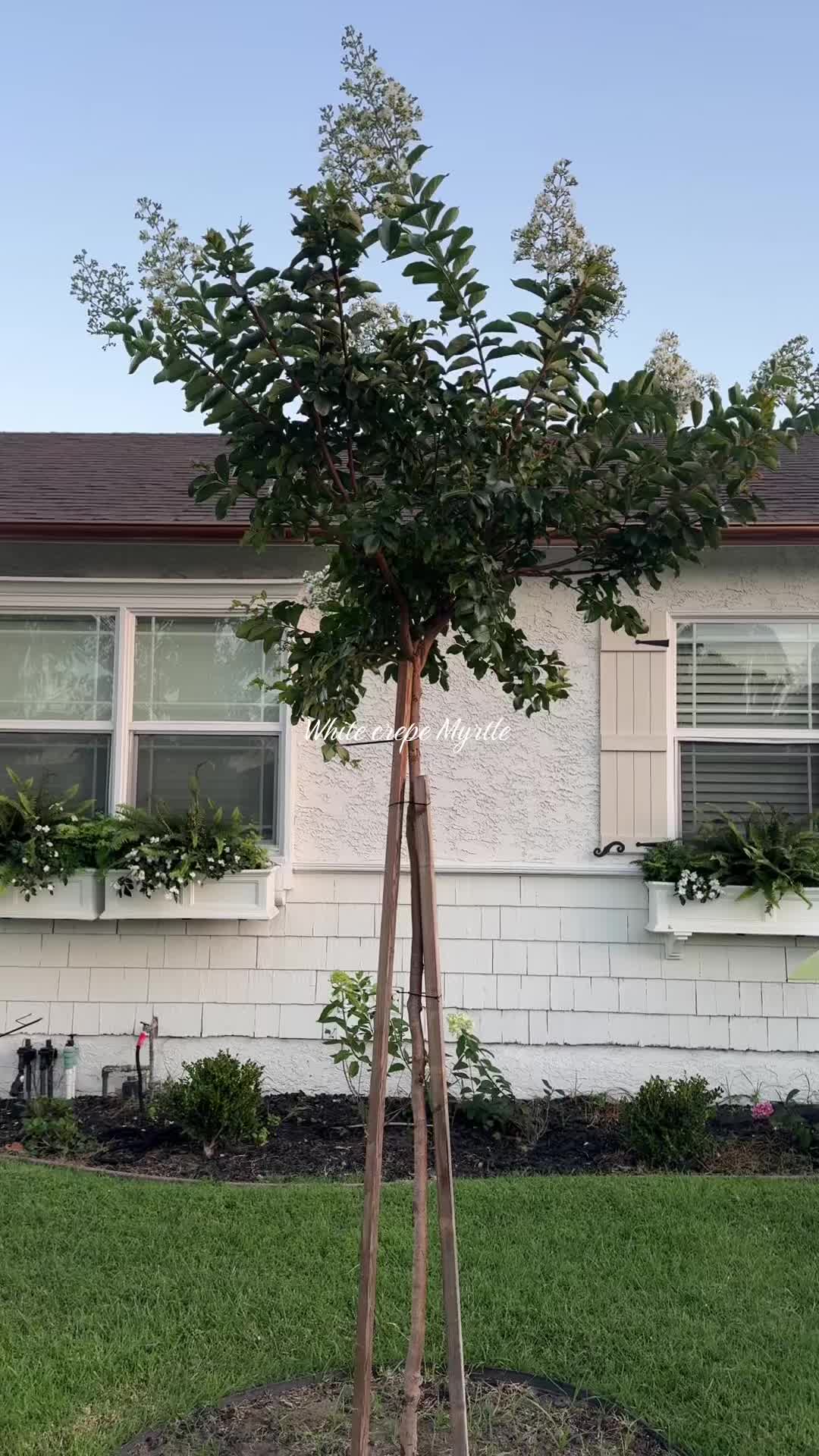 @heartandgarden
