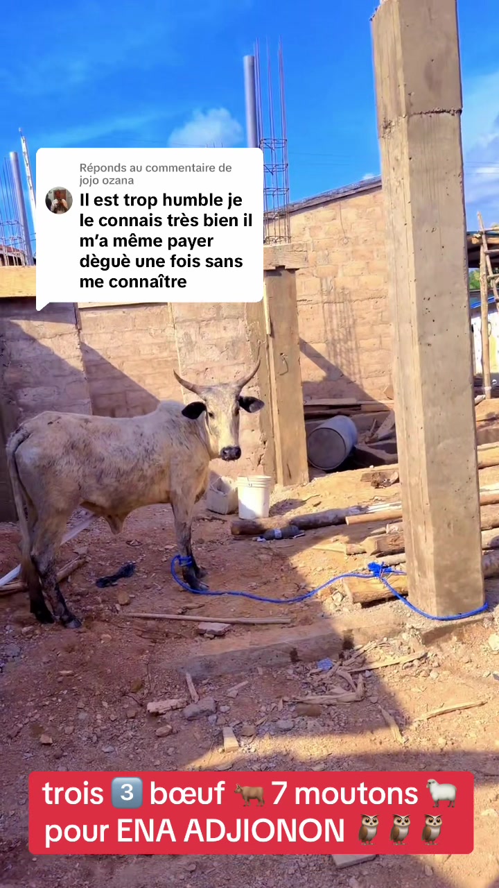 @H&Egrave;BIOSSOVI 1er