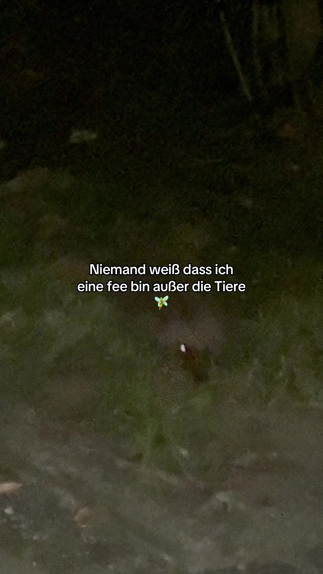@S1RENA