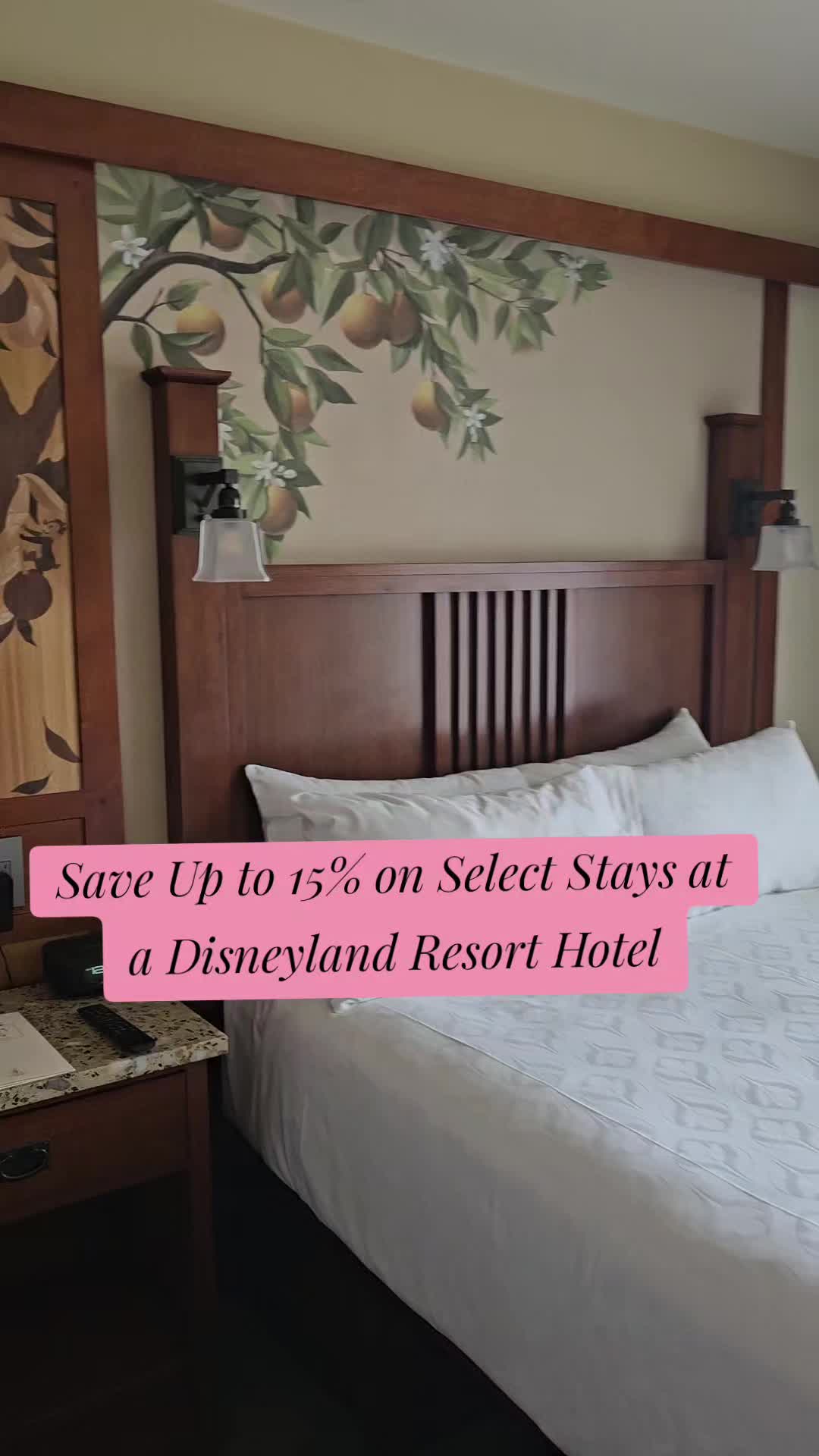@SHEENA~TRAVEL PLANNER 🏰🌎🛳✨️