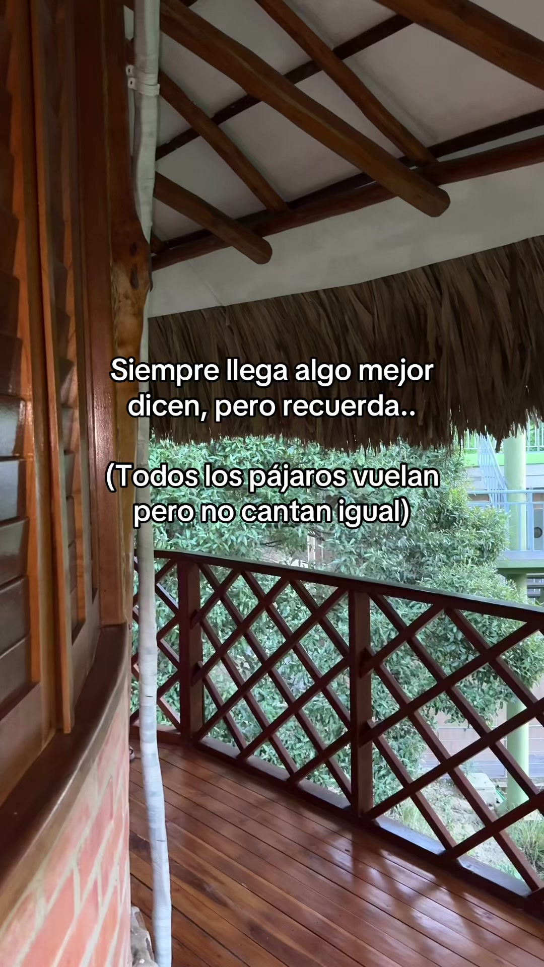 @Layla