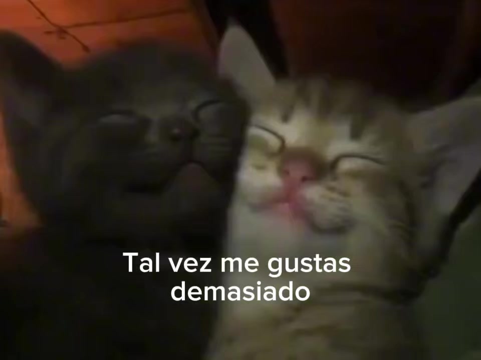 @yramyoliver