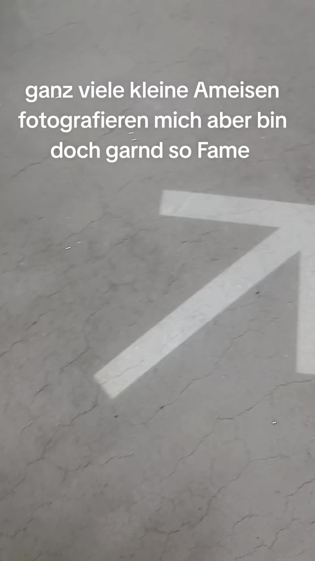 @Crazy_luis