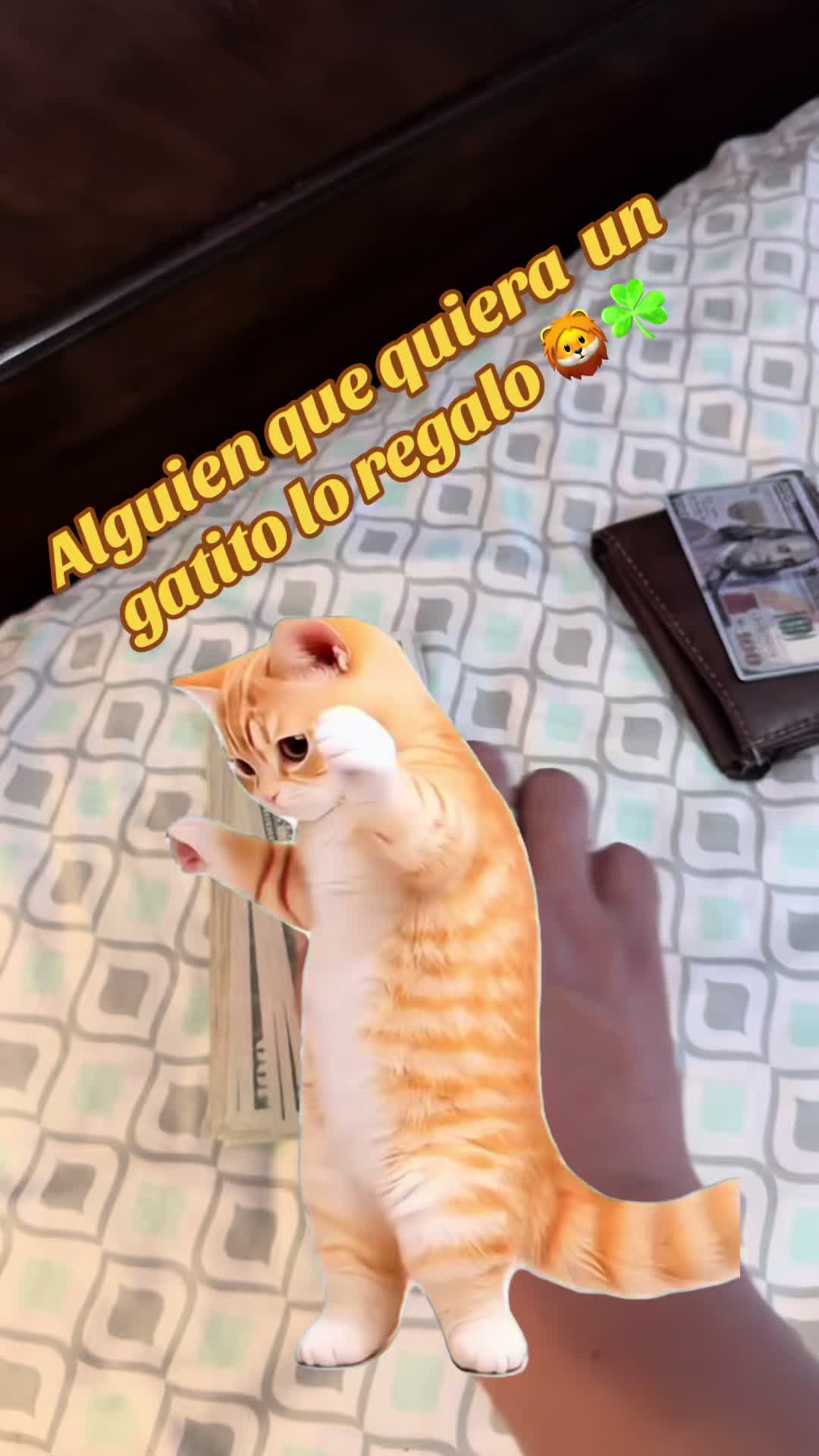 @☘️❤️bebeto Hernández☘️❤️🥷👑🦄