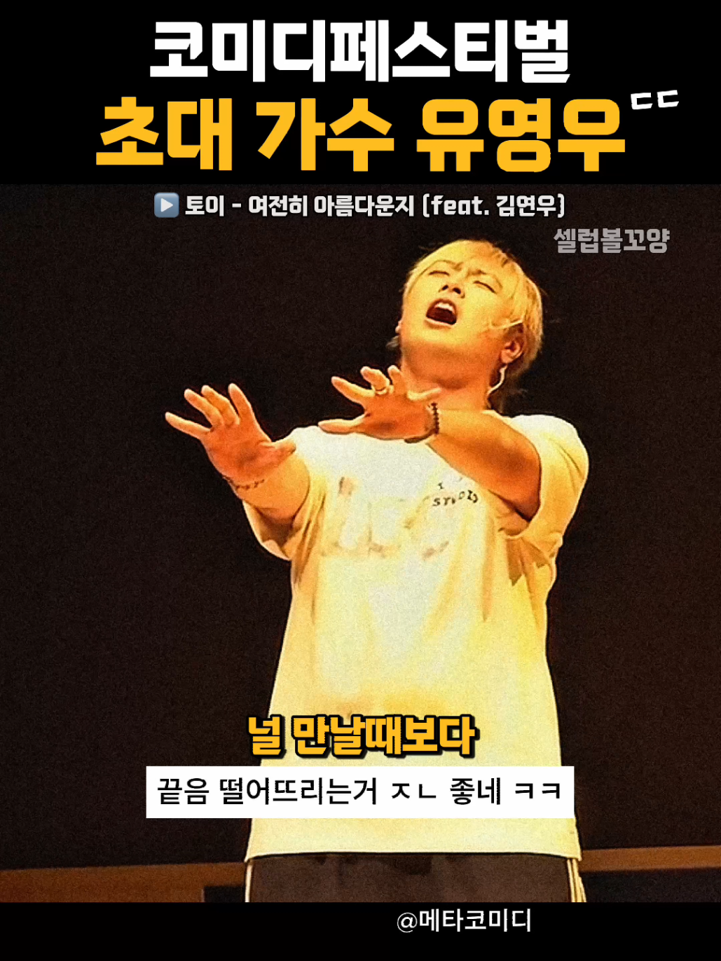 @셀럽볼꼬양