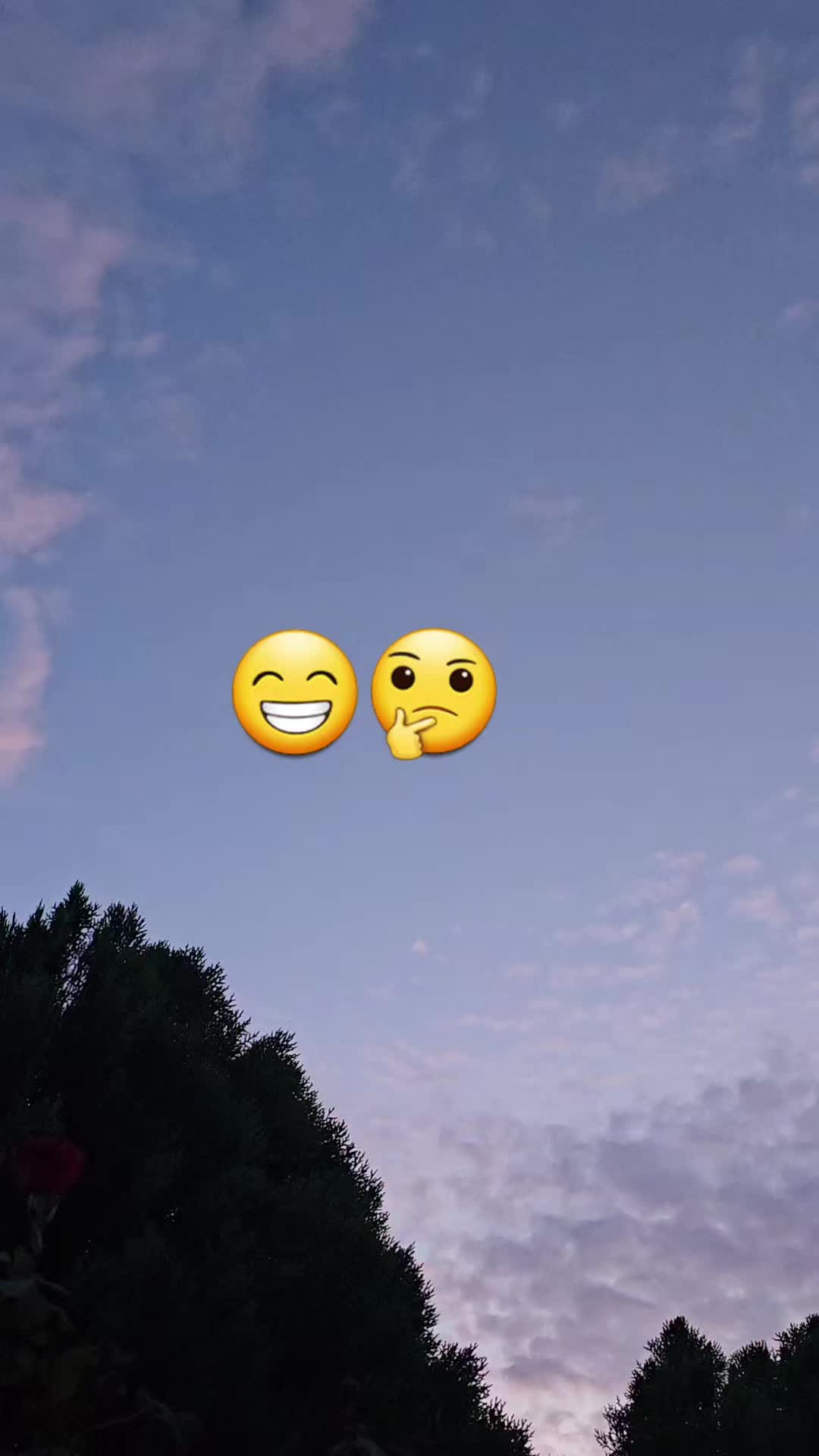 @Gabrielito 502