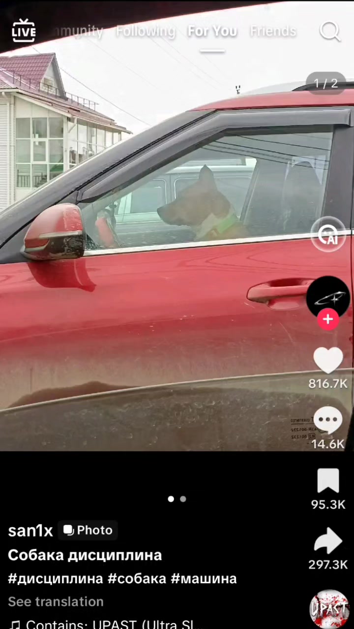 @baconzdmm2