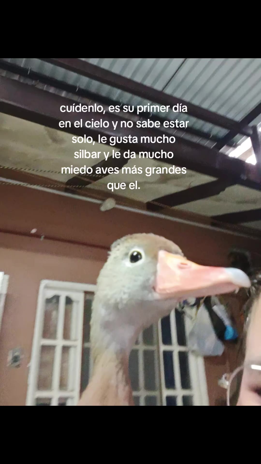 @𝒜𝓃𝒾𝓉𝒶_𝒶🪷