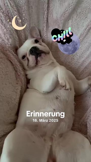 @Aurora67