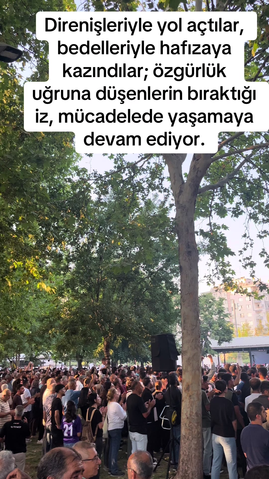 @Nihat DEMİR