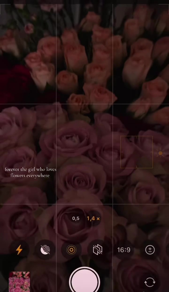 @user4435177